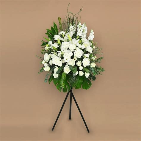 We did not find results for: Condolences flower Singapore | Iglesia
