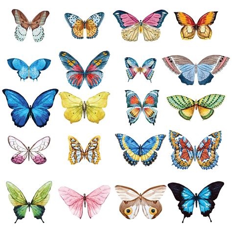 Butterfly Decals