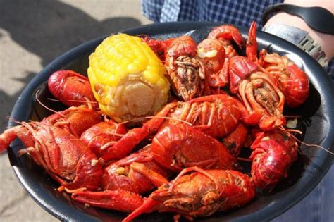Our distribution center is located in ft. Florida's Epic Food Festivals - Vagabond Summer