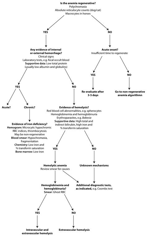 Anemia Algorithm EClinpath