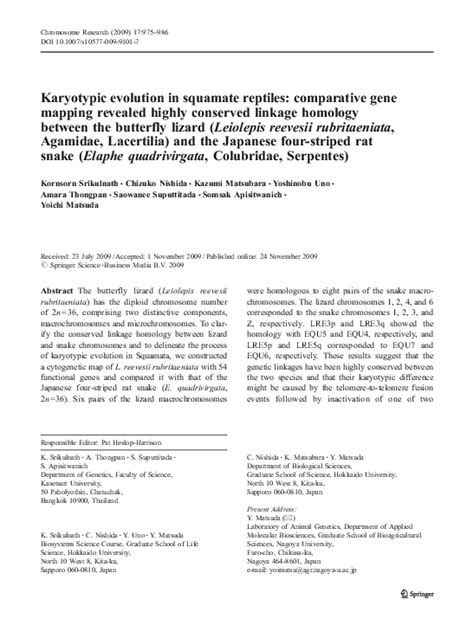 (PDF) Karyotypic evolution in squamate reptiles ...