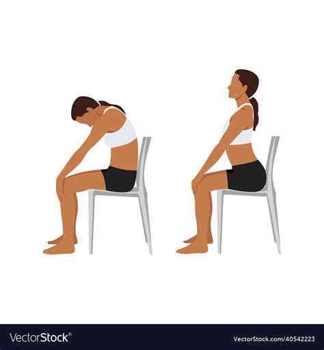 Woman Doing Yoga Chair Cat Cow Stretch Exercise Vector Image