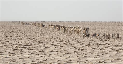 אין אחד שזה לא קורע אותו ואפשר לראות את זה גם באמצעי התקשורת שמתעסקים בנושא הזה ערב יום הזיכרון לחללי צהל. צעירה בת 21 נעדרת באתיופיה | מעריב