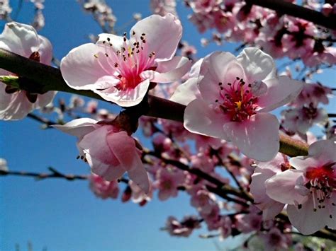 Jul 21, 2021 · the haiku in this issue do this by focusing on myriad moments of experience that they may have under more untroubled times: Spring Kenning Poems | Short Poems & Quotes | Marinela Reka