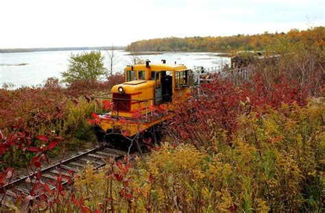 5 Fall Foliage Train Rides In Minnesota