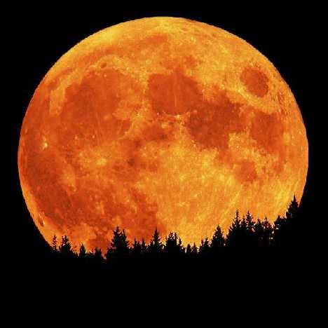 19 feb, 2019 | 2:06 pm. Super moon tonight! | Healing | Pinterest