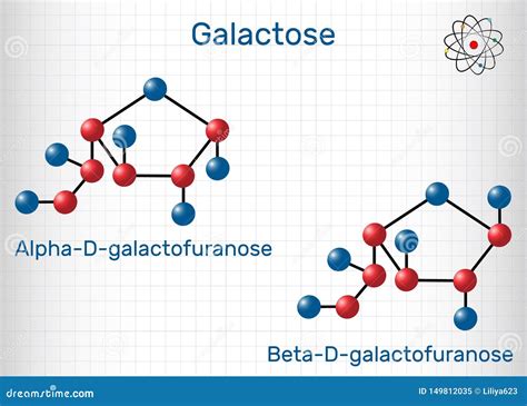 Galactose Alpha D Galactopyranose Milk Sugar Molecule Cyclic Form