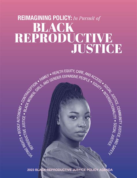 In Our Own Voice National Black Women S Reproductive Justice Agenda