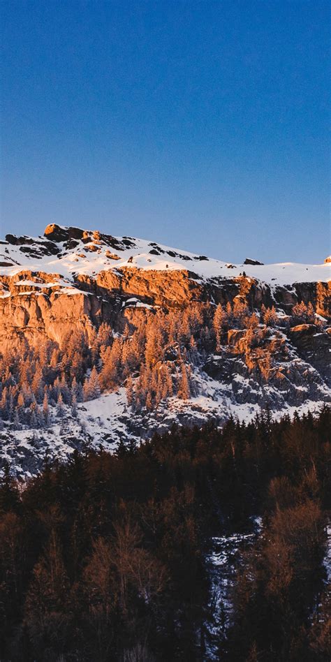 Download 1080x2160 Wallpaper High Mountains Snow Glacier Nature