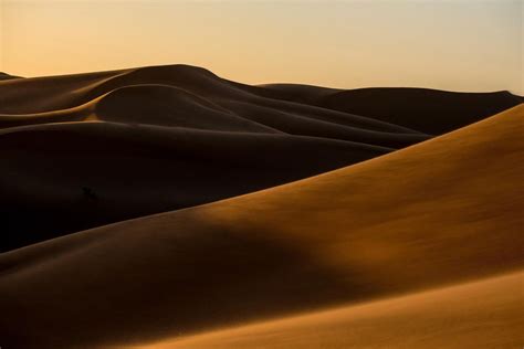 Dune RPG co-author resigns following incident involving in-game sexual