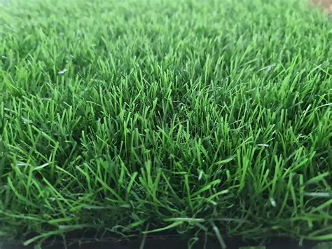 Pp 35 Mm Lush Green Grass For Garden Rs 45 Sqft Hvt Interiors Id