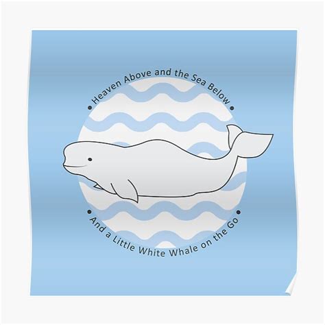 Beluga Whale Posters Redbubble