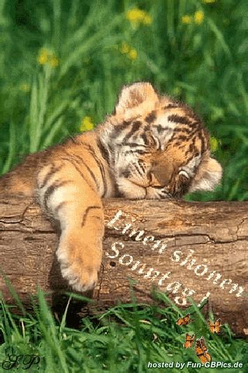 Um ein bild auf whatsapp oder facebook zu teilen, klickst oder tippst du einfach auf den button. Sonntag Bilder Gruß - Facebook Bilder - Whatsapp Bilder ...