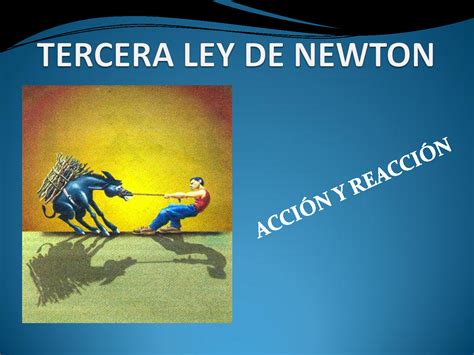 Ejemplos Ejemplos De La Tercera Ley De Newton Con Dibujos Nuevo Ejemplo