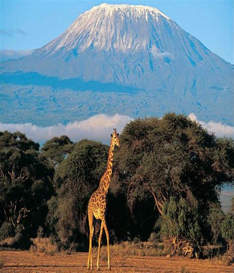 Mount Kilimanjaro Travel Pedia
