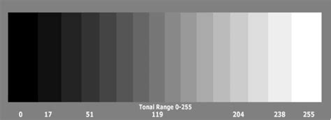 How To Convert An Rgb Image To A Grayscale Baeldung On Computer Science