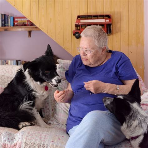 Pensioner Trapped In Woods Hailed Her Own Lassie Dog A Life Saving