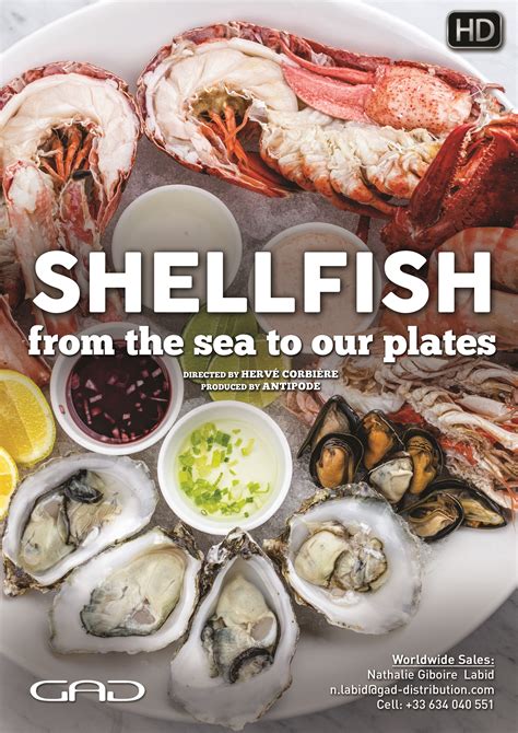 Shellfish (shell finding in spheroidal halos) is a command line toolchain for finding the splashback shells of individual halos within cosmological simulations. Shellfish, from the sea to our plates - GAD