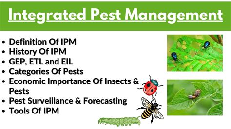 Integrated Pest Management Bsc Hons Agriculture Ipm Etl Eil