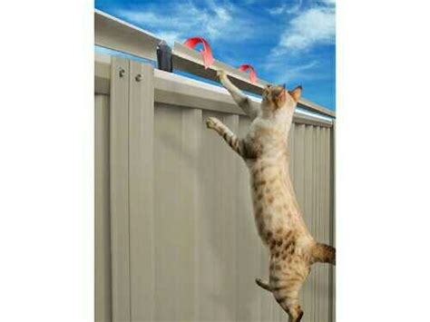 Electric fence for goats and other small animals. Oscillot Cat Fence - Australia | Cat fence