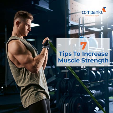 7 Surprising Tips To Increase Muscle Strength Companio