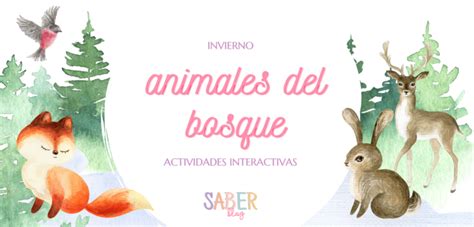 Animales Del Bosque Actividades Interactivas Saber Blog