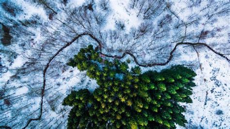 International Drone Photography Contest Names 2016 Winners Mental Floss