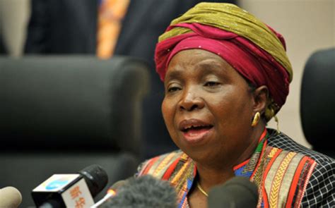 She was born on 27 january 1949 in. Dlamini-Zuma, Hollande discuss Mali unrest