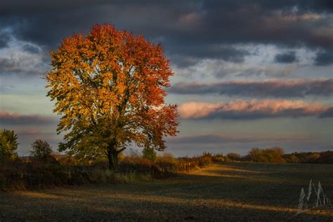 Ferienwohnung Circleville, OH, US: Bungalows & mehr | FeWo-direkt