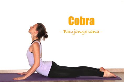 How To Do Cobra Pose Yoga Poses Step By Step Explained