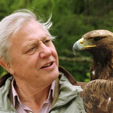 Sir david attenborough has named the 10 endangered animals he would most like to save from extinction. 10 Facts about David Attenborough | Fact File
