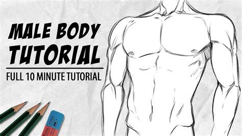 Male Body Drawing Tutorial