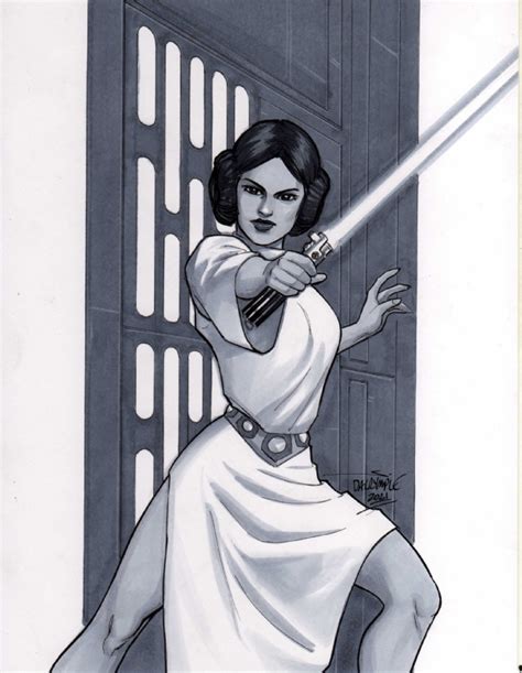 Star Wars Princess Leia By Scott Dalrymple In Stephen Bs Star Wars