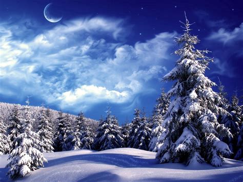 Download Wallpaper 1600x1200 Fur Trees Trees Clouds Snow Moon Sky