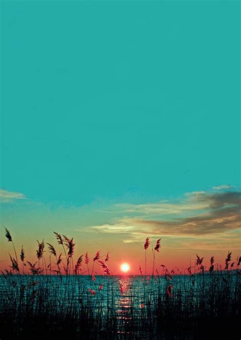 Beautiful wallpaper for samsung phone. Samsung Mobile Wallpapers: Mobile wallpapers hd 480x800