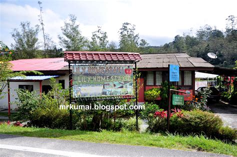 37, kampung taman sedia, cameron highlands, 39000, malaysia. mrkumai.blogspot.com: Tips Melawat Cameron Highlands ...