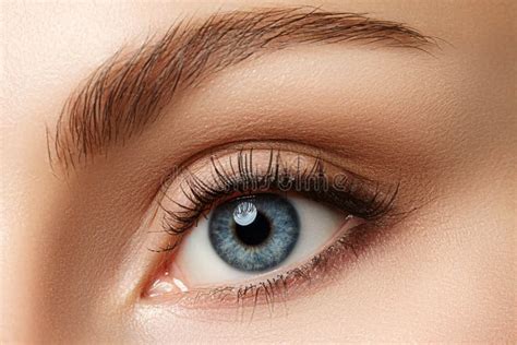 Close Up View Of Beautiful Blue Female Eye Stock Image Image Of Iris