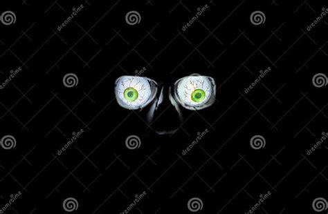 Spooky Eyes Stock Image Image Of Eyeballs Head Isolated 23505385