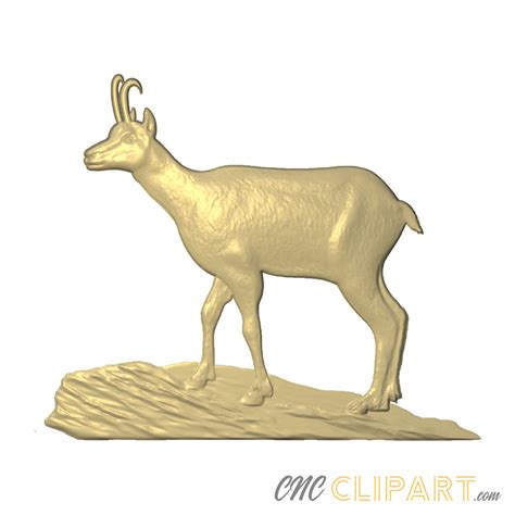 Chamois Goat Antelope 3d Relief Model Cnc Clipart