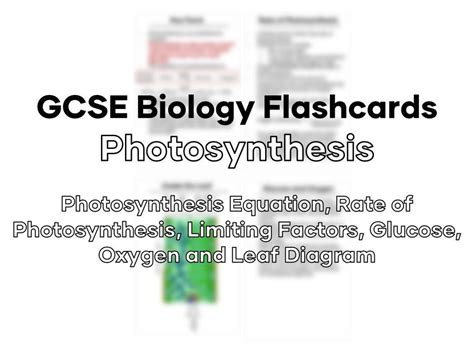 Photosynthesis Flashcards Gcse Biology Combined Science Revision And Practise Etsy
