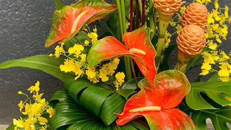 You can go ahead and get some for the care for anthurium houseplant includes indirect sunlight, warm temperatures, and regular. Anthurium Care & Handling - YouTube