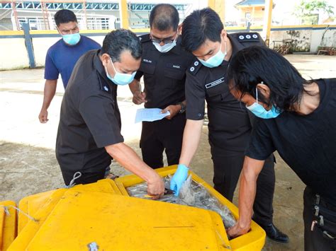 Pembangunan sumber manusia melalui pengurusan disiplin dan motivasi anggota perkhidmatan awam, perkhidmatan kaunseling, peperiksaan perkhidmatan/jabatan, kenaikan pangkat secara. MAQIS rampas 319 kilogram ikan seludup - Utusan Digital