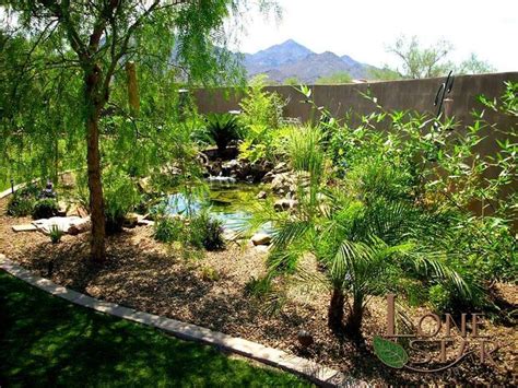 Koi diseases, parasites and treatments. This dense landscape surround a koi pond for a tropical ...