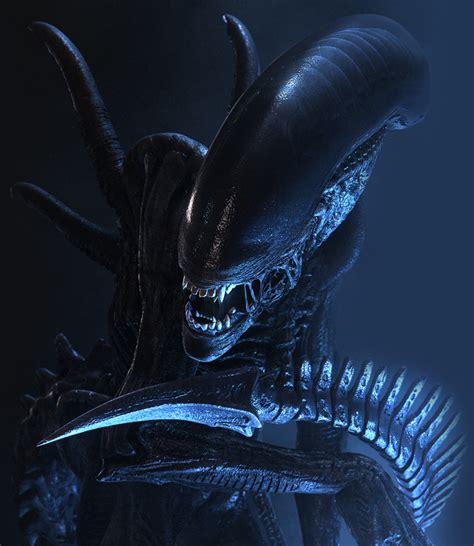 Xenomorph Alien Wiki