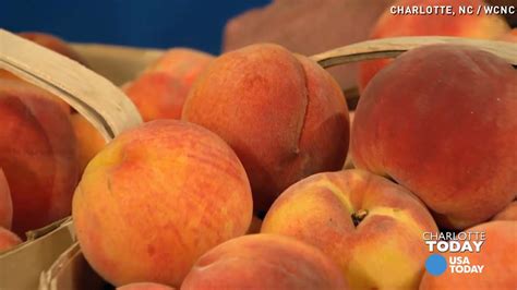 Everything You Need To Know About Peaches