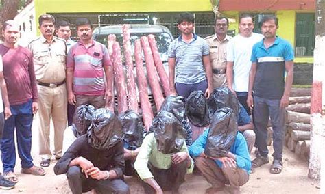 Tirupati Red Sanders Smugglers Arrested