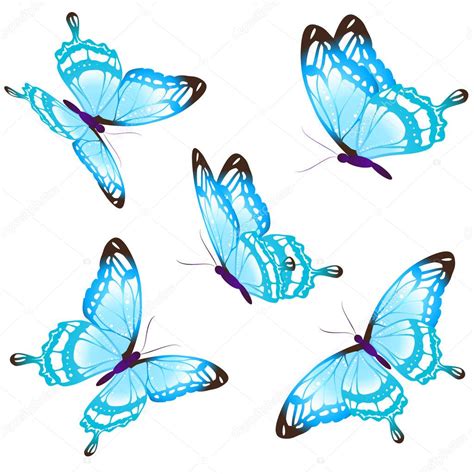 Conjunto De Hermosas Mariposas Azules Aisladas Sobre Fondo Blanco