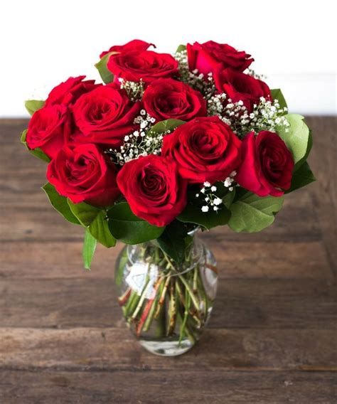 One Dozen Red Roses Dozen Red Roses Red Roses Beautiful Red Roses