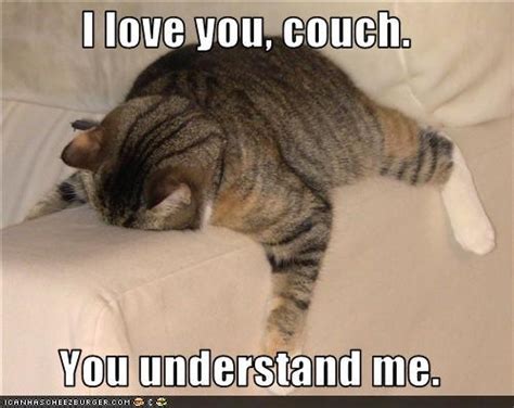 Sweetkitty I Love You Couch