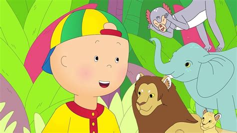Caillou Goes To The Zoo Caillou New Adventures Cartoons For Kids